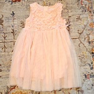 3T pink butterfly dress